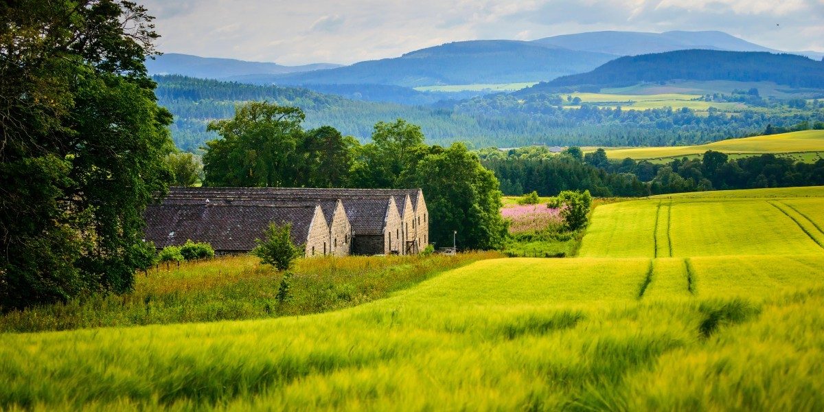 Cardhu Cardhu Distillery, Speyside
