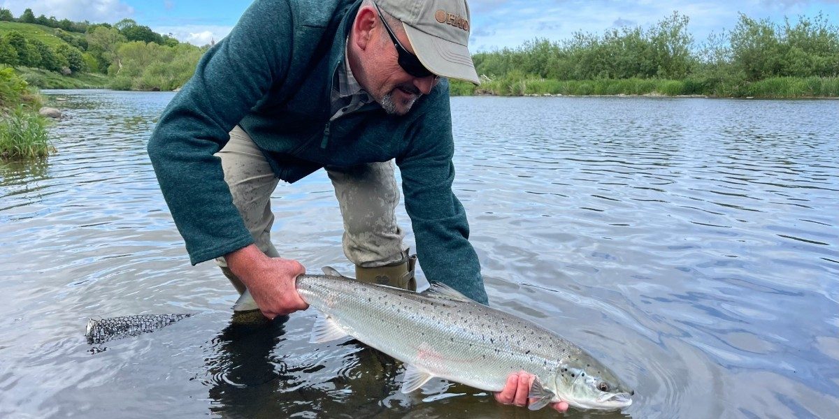 Salmon Fishing Spey River, Scotland